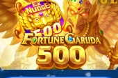 Fortune Garuda 500 cover